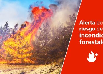 El Gobierno de Canarias declara la alerta máxima por riesgo de incendios forestales en La Palma