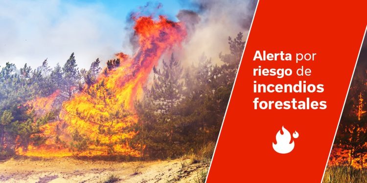El Gobierno de Canarias declara la alerta máxima por riesgo de incendios forestales en La Palma
