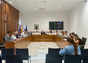 El Cabildo de La Palma aprueba una moción unánime en defensa de los derechos humanos en Gaza