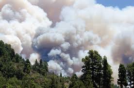 Nueva Canarias propone usar los planes de empleo para la prevención de incendios forestales
