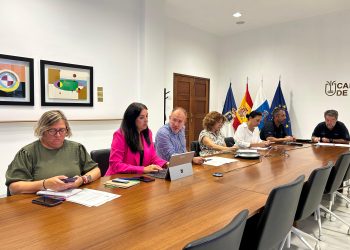 El Cabildo informa de más de 1.200 viviendas autorizadas en la costa del Valle de Aridane