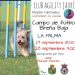 Breña Baja acoge este fin de semana una prueba puntuable para el Campeonato de España de Agility