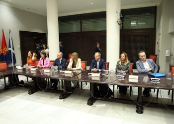 La FECAI presenta en el Parlamento la propuesta para reformar la Ley de Cabildos