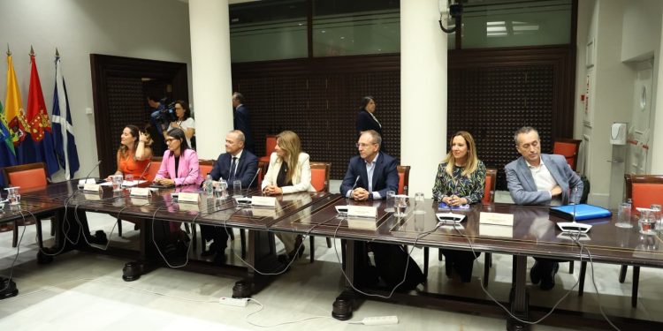La FECAI presenta en el Parlamento la propuesta para reformar la Ley de Cabildos