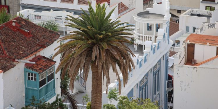 La Odisea de Alquilar en La Palma: Un 50% más caro que antes del volcán