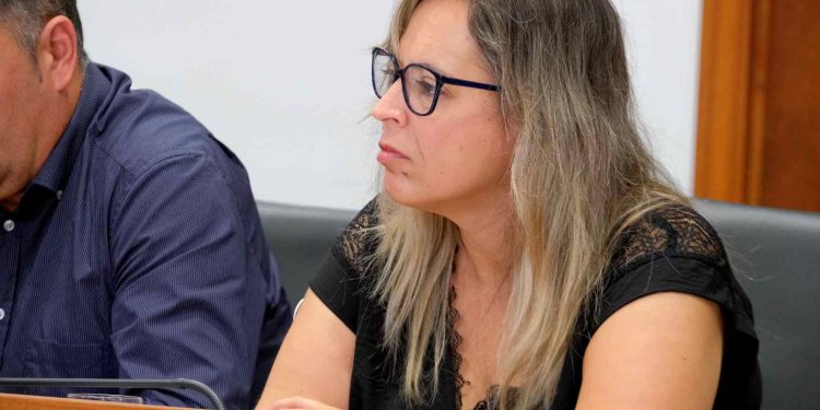 El PSOE acusa al Gobierno del Cabildo de «desertar» del proyecto de Campus Universitario