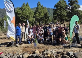 El Paso y Foresta siembran 16 nuevos morales para proteger el futuro de la seda pasense