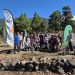 El Paso y Foresta siembran 16 nuevos morales para proteger el futuro de la seda pasense