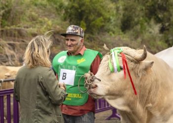 «Orgullo ganadero garafiano»: Onelio Martín, reconocido como Mejor Criador Nacional de Raza Palmera