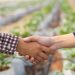 El Gobierno de Canarias destina 350.000 euros para apoyar a 14 asociaciones profesionales agrarias