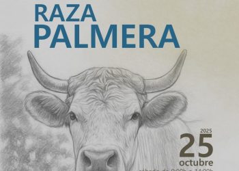 La Salama acoge este sábado el V Concurso Nacional de Ganado Vacuno de Raza Palmera
