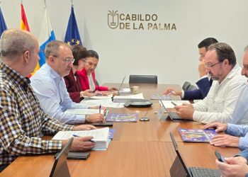 El Cabildo invierte más de un millón de euros para blindar el riego en la histórica zona vitícola de Llanos Negros