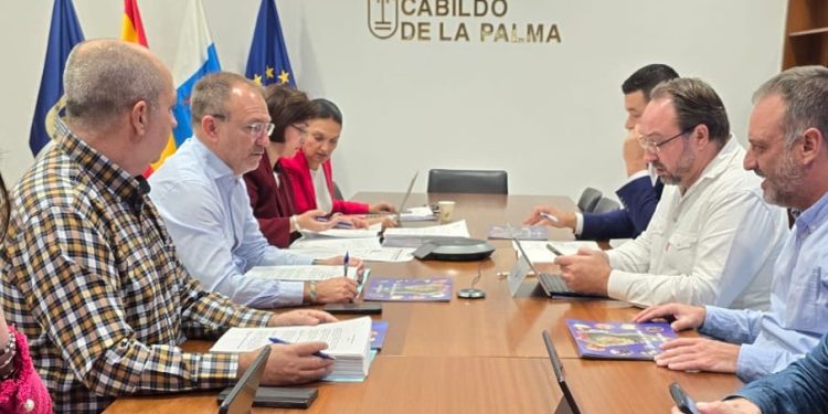 El Cabildo invierte más de un millón de euros para blindar el riego en la histórica zona vitícola de Llanos Negros