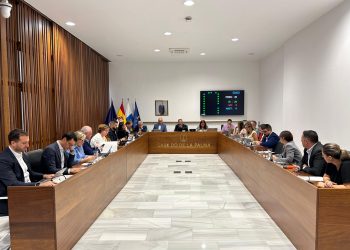 El Cabildo aprueba por unanimidad una moción de apoyo a los pacientes con COVID persistente