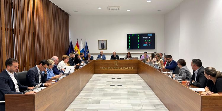 El Cabildo aprueba por unanimidad una moción de apoyo a los pacientes con COVID persistente