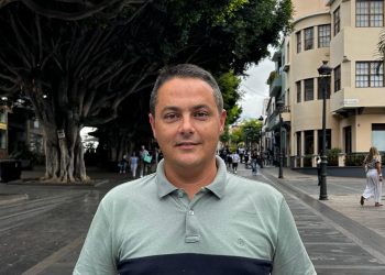 El PP de Los Llanos logra que el Pleno apruebe la adhesión al plan de choque contra la filoxera