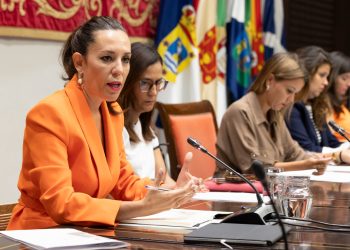 Jéssica de León denuncia que los planes de empleo de Canarias y La Palma siguen «pendientes» por un retraso del Estado