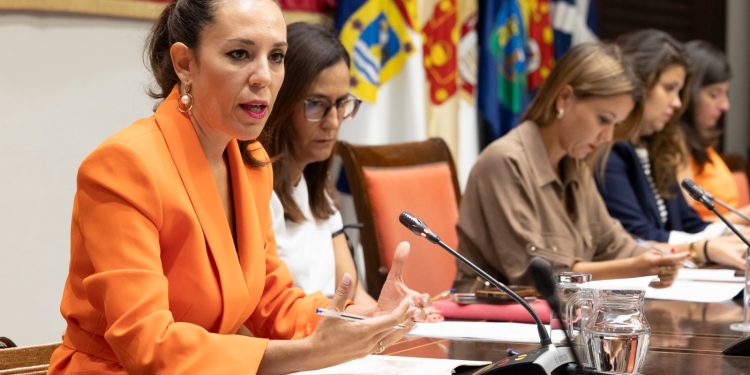 Jéssica de León denuncia que los planes de empleo de Canarias y La Palma siguen «pendientes» por un retraso del Estado