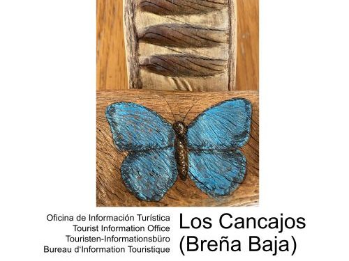 Las vainas del Flamboyán se convierten en arte en la nueva exposición «Xé! Menuda vaina» en Los Cancajos