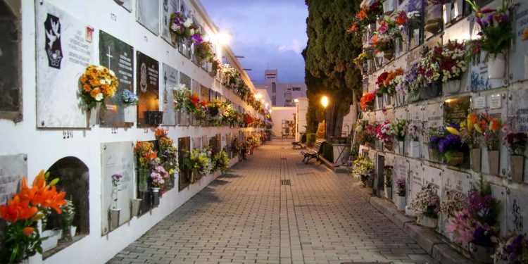 Un puente de flores y memoria: El significado de recordar el 1 de noviembre