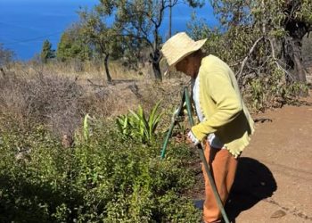 Los municipios de La Palma se vuelcan en la celebración del Día del Mayor