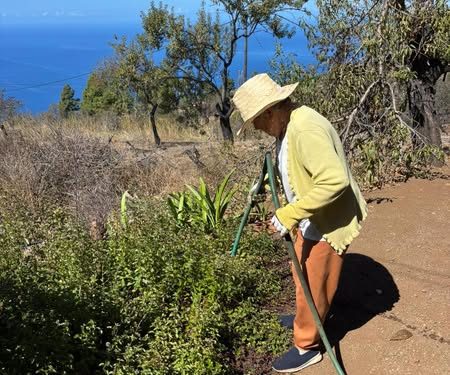 Los municipios de La Palma se vuelcan en la celebración del Día del Mayor
