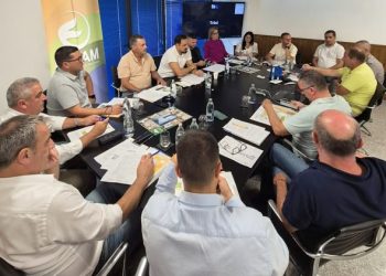 Los alcaldes de La Palma analizan la «ineficiencia» en la recogida de basuras y la situación de los bomberos