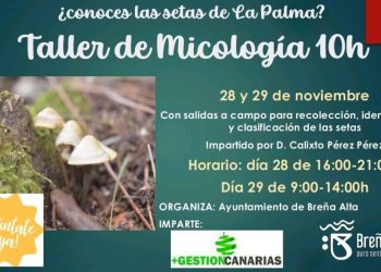 Tras las lluvias de ‘Claudia’, Breña Alta lanza el taller perfecto: «¿Conoces las setas de La Palma?»