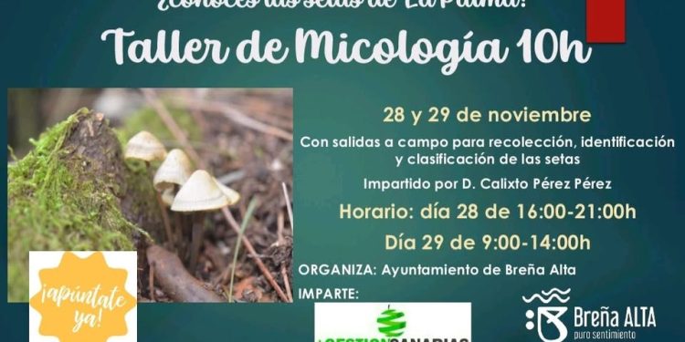 Tras las lluvias de ‘Claudia’, Breña Alta lanza el taller perfecto: «¿Conoces las setas de La Palma?»