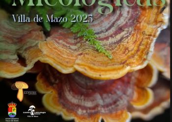 Tiempo de setas en Mazo: Las VI Jornadas Micológicas invitan a distinguir las especies tóxicas y saborear el monte