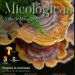 Tiempo de setas en Mazo: Las VI Jornadas Micológicas invitan a distinguir las especies tóxicas y saborear el monte