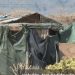 Sed y burocracia: El 10% de las personas sin hogar en La Palma no tiene acceso a agua potable y menos de la mitad logra empadronarse