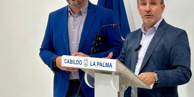 El Cabildo inyecta 5,5 millones de euros para reactivar a 528 autónomos y empresas damnificados por el volcán