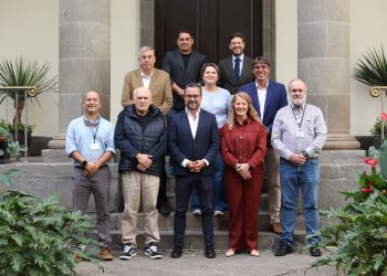 El Parlamento respalda que Santa Cruz de La Palma reciba la Medalla de Oro de Canarias por ser la «cuna de la democracia» en España