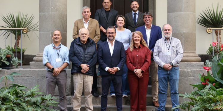 El Parlamento respalda que Santa Cruz de La Palma reciba la Medalla de Oro de Canarias por ser la «cuna de la democracia» en España