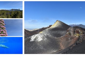 La Palma quiere liderar el futuro sostenible: La Isla se postula para acoger el III Congreso Nacional de Reservas de la Biosfera
