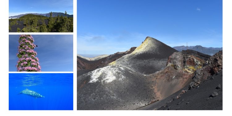 La Palma quiere liderar el futuro sostenible: La Isla se postula para acoger el III Congreso Nacional de Reservas de la Biosfera
