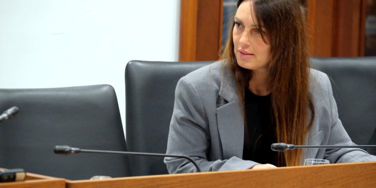 El PSOE propone en el Cabildo la creación de un ‘Protocolo Insular de Reconstrucción Post-Catástrofe’