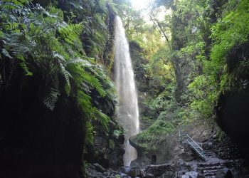 Transición Ecológica respalda la candidatura de La Palma para acoger el Congreso Nacional de Reservas de la Biosfera en 2026