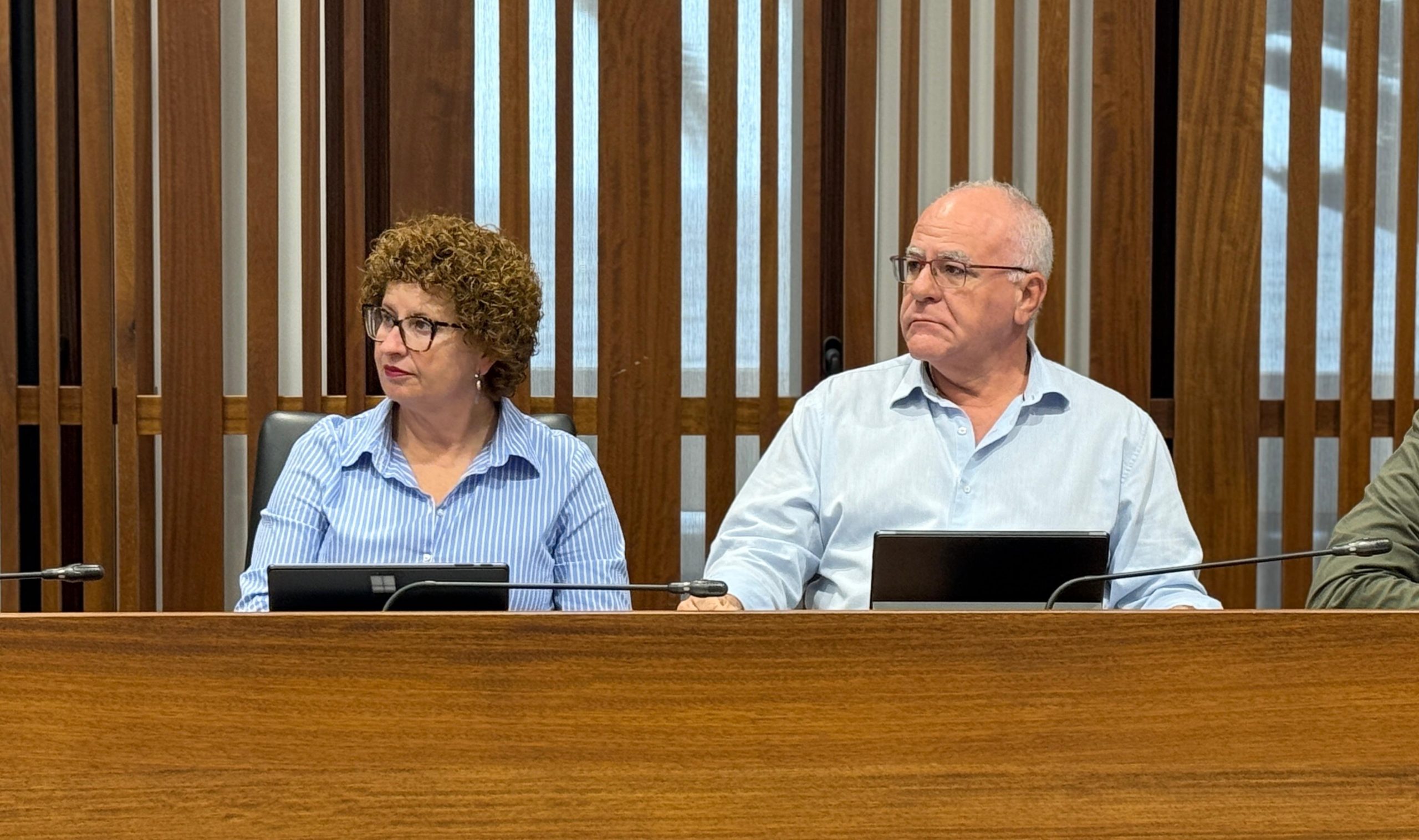 El PP acusa al Cabildo de «asfixiar» a autónomos con los impagos y denuncia una ejecución «casi nula» en vivienda y deportes