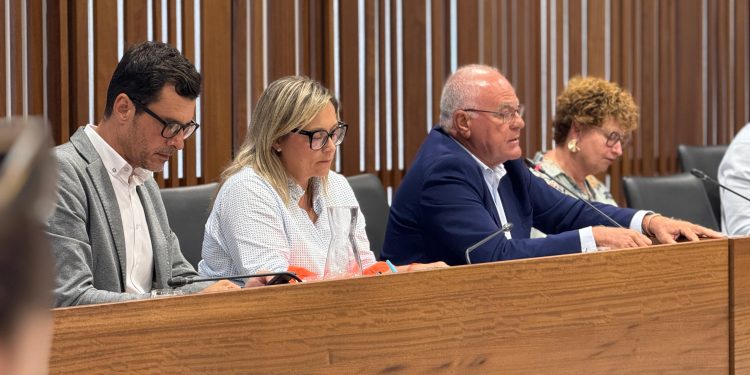 El PP lleva al Pleno la defensa del campo palmero ante el recorte del 22% que plantea Europa