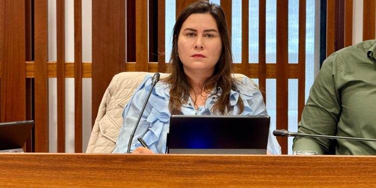 Luz verde unánime: El Cabildo liderará una mesa de trabajo insular para regular el ruido de la pirotecnia en las fiestas