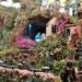 La Navidad se vive en los barrios de Santa Cruz de La Palma
