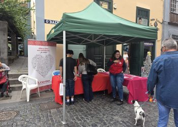La Calle Real, escaparate del altruismo: Santa Cruz de La Palma visibiliza la fuerza de su tejido solidario