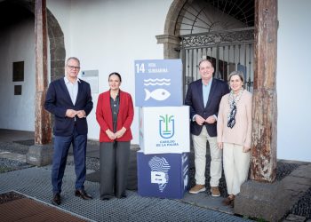 El Museo Insular inaugura la exposición ‘Cetáceos de la Macaronesia’ con réplicas a tamaño real dentro de La Palma Blue Experience