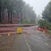 Precaución en la Cumbre: La LP-4 continúa cerrada por hielo en su vertiente este, aunque se permite el acceso por Garafía