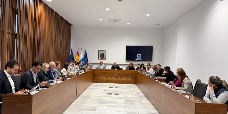 El Cabildo aprueba por unanimidad una moción institucional de apoyo y solidaridad con el pueblo de Venezuela