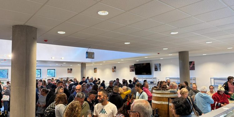 El Mercadillo de la Villa de Garafía combinará Carnaval, motor y producto local en su edición de febrero
