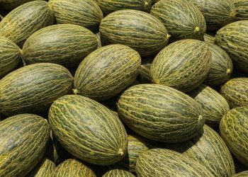 ATRATICAN denuncia un presunto fraude de melón brasileño etiquetado como español en Canarias