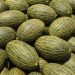 ATRATICAN denuncia un presunto fraude de melón brasileño etiquetado como español en Canarias